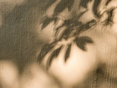 Abstract shadows on a wall creating a peaceful atmosphere.