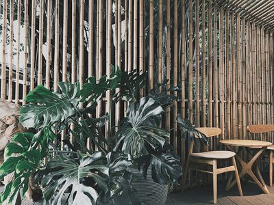 Natural wooden elements and green plants in a workout space.