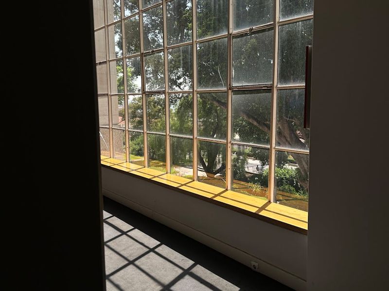 Sunlight streaming through a window onto a clean exercise floor.